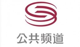 深圳公共频道新闻爆料,重大事件背后真相揭晓