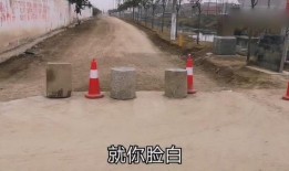 河南村长爆料最新消息