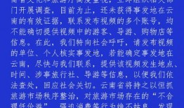 扬州导游爆料视频最新版,揭秘古城背后的秘密与故事