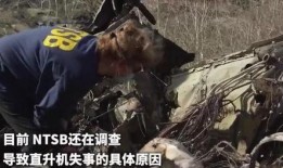 飞机失事爆料视频大全集,飞机失事爆料视频大全集深度解析