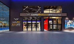 金吉鸟最新爆料,揭秘行业背后惊人内幕