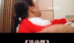 法中情电影在线观看,跨国追踪，揭秘暗网风云