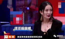 杨幂爆料陈飞宇视频,揭秘娱乐圈背后的真相