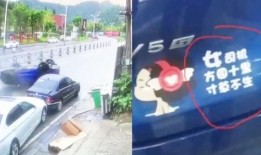 张家界司机爆料视频最新,揭秘景区交通乱象背后的真相