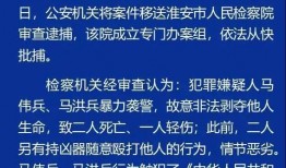新闻爆料袭警案例分析,新闻爆料袭警案例分析纪实