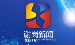 谢岗爆料新闻视频,视频揭露惊人真相！