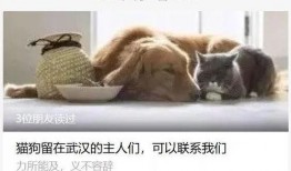 武汉宠物爆料事件视频曝光,事件背后真相引发热议
