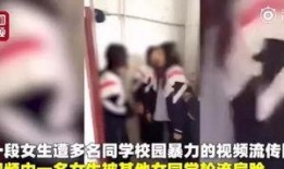 打架视频投稿爆料给谁看,打架视频投稿揭秘，揭秘者身份引关注