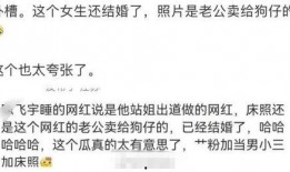 杨幂爆料陈飞宇视频,揭秘娱乐圈背后的真相