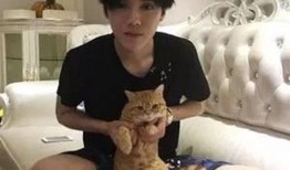 鹿晗豪宅爆料视频播放大全,独家视频播放大全带你领略明星奢华生活