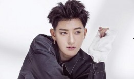 圈内知情人爆料黄子韬,揭秘明星背后的真实故事