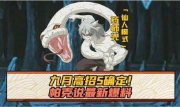 高招s佐助最新爆料,高招S佐助神秘力量大揭秘