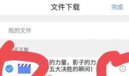 今日头条踏雪爆料视频下载,揭秘今日热点事件幕后真相