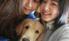 美女爆料单身狗图片视频,美女爆料背后的甜蜜故事