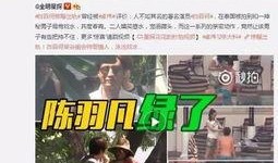 天涯爆料闫鹤翔视频播放,闫鹤翔视频播放引发热议，真相究竟如何？