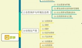 扬州导游爆料视频大全集,揭秘古城扬州的传奇故事与风土人情