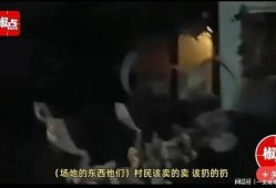 徐州爆料小老弟事件视频,网络热议背后的真相揭秘