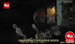 徐州爆料小老弟事件视频,网络热议背后的真相揭秘