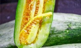 网红吃的很罕见的瓜,揭秘神秘果实的魅力之旅