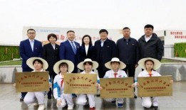 高新一中最新爆料事件,事件背后真相揭晓！”