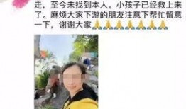 浙江母子相互爆料视频,家庭矛盾背后真相揭晓