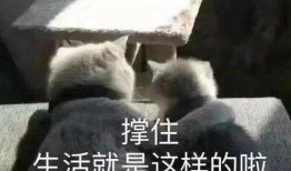 搞笑爆料新闻文案短句,笑料百出！盘点那些让人捧腹大笑的爆料新闻