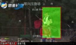 黑坑江湖爆料视频下载免费,免费下载爆料视频背后的秘密