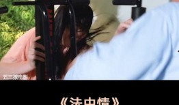 法中情电影在线观看,跨国追踪，揭秘暗网风云