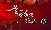 幸福像花一样在线观看,跟随幸福像花一样探寻生活之美