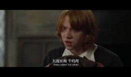 哈利爆料母亲视频,母亲视频背后的惊人真相