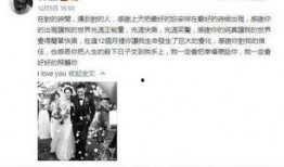大美娱乐吃瓜视频大全,揭秘热门吃瓜视频大全，带你领略娱乐圈风云变幻