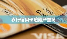 最新爆料农行信用卡逾期,揭示逾期规模与风险挑战