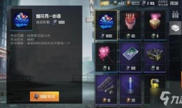 和平精英爆料烟花视频,全新游戏体验即将开启