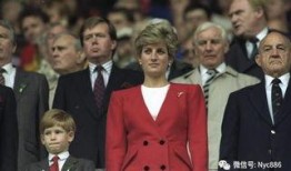 哈利爆料母亲视频,母亲视频背后的惊人真相