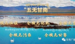 甘南爆料完整视频,揭秘事件真相，完整视频深度解析