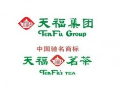 天福集团最新爆料,揭秘企业转型背后的战略布局