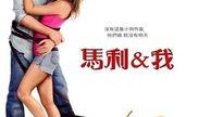 马利与我在线观看,一部温馨治愈的宠物成长记