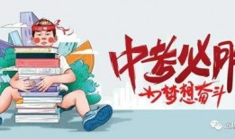 云南投资爆料最新消息新闻,聚焦重点领域，共谋发展新篇章