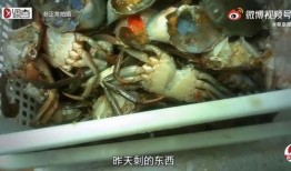 胖哥俩肉蟹爆料视频在线观看,美味蟹宴，尽在云端