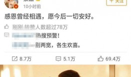 小说娱乐圈娱圈吃瓜,吃瓜群众揭秘明星幕后真相