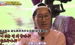 王鼻子爆料刘在石视频,揭秘明星幕后趣事