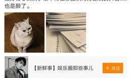 大芝麻爆料铲屎官视频,温馨宠物生活瞬间