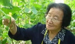 全娱乐圈听我心声吃大瓜,全娱乐圈听我心声，大瓜连连爆出！