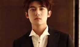 演员王佑硕爆料了吗视频,爆料视频背后的真实情感与挑战