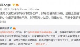 打架视频投稿爆料给谁看,打架视频投稿揭秘，揭秘者身份引关注