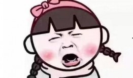 东湖谣言学生爆料事件视频,真相与反思