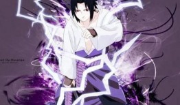 官方佐助爆料视频大全,揭秘忍者世界的秘密与传奇