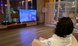 鹿晗豪宅爆料视频播放大全,独家视频播放大全带你领略明星奢华生活