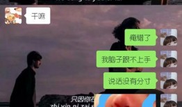 娱乐吃瓜直男,直男视角下的娱乐圈吃瓜指南