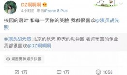 今日吃瓜爆料王子文微博,娱乐圈最新动态揭秘